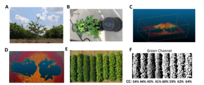 Developing SmartSense: A Robotic Platform for High Throughput Phenotyping and Genome Wide Association Analysis